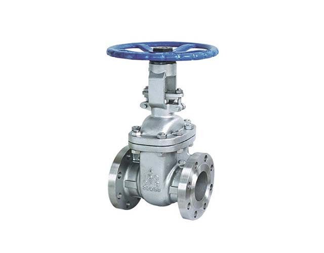 Custom Cast Steel Gate Valve 